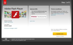 Flash Player Update